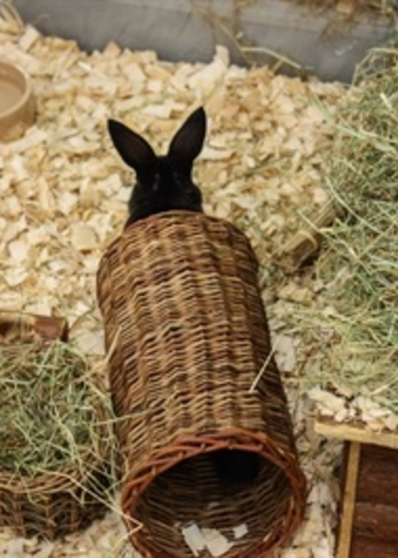 Happy pet Happy pet wilgen tunnel