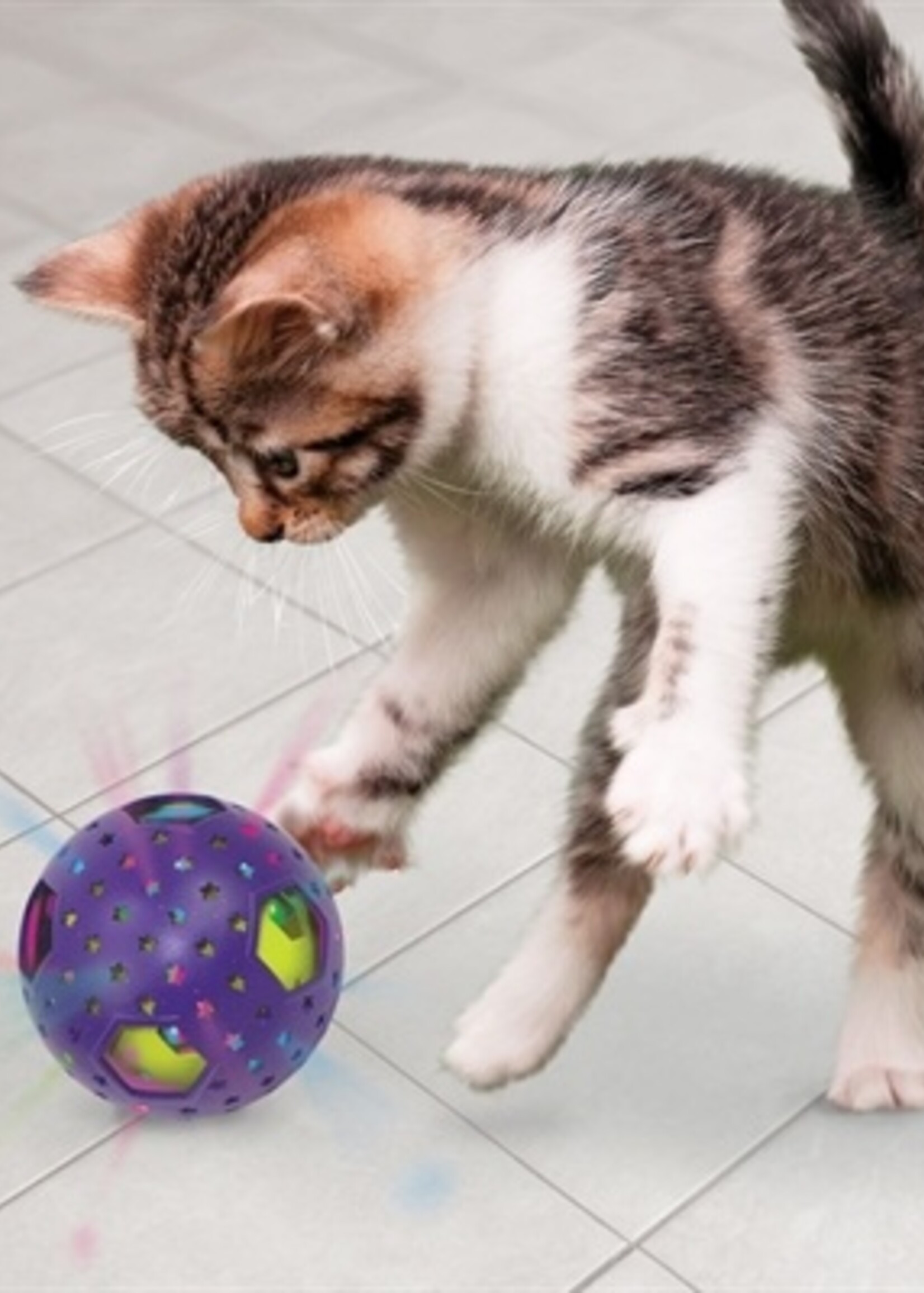 Kong Kong bat-a-bout flicker disco bal