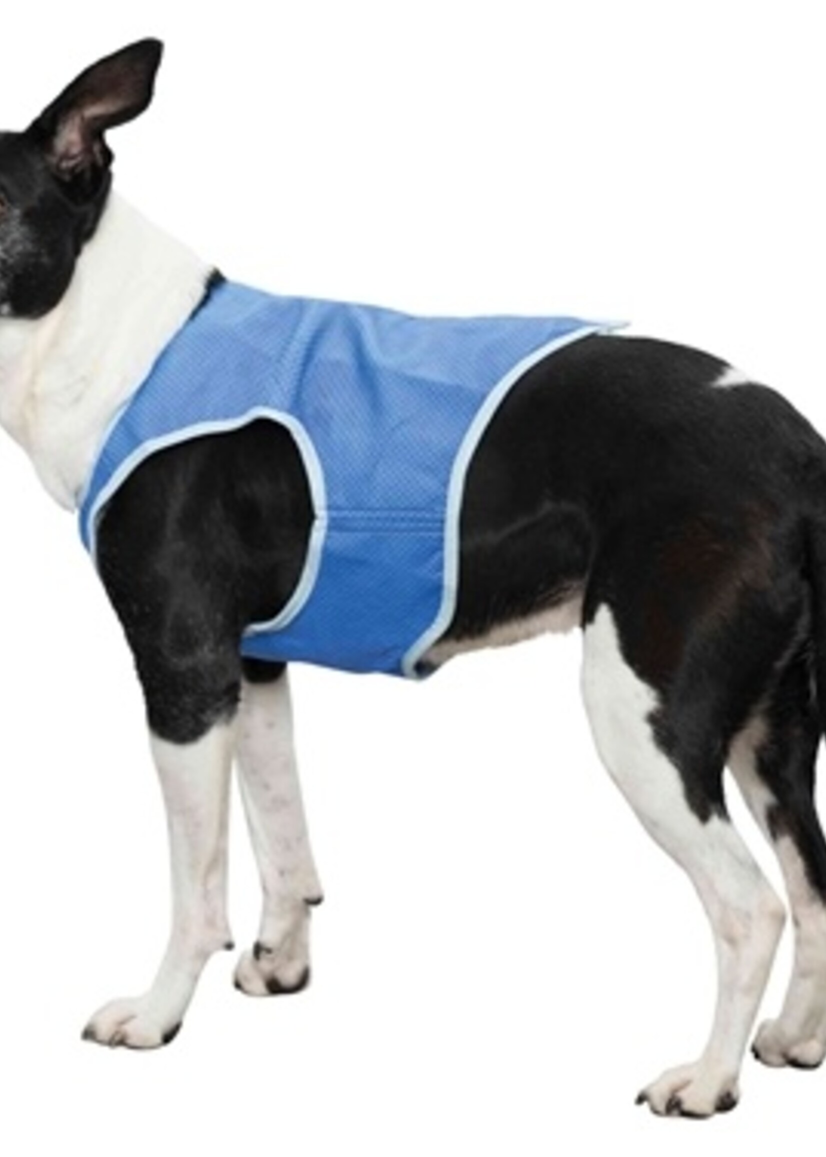 Merkloos Kip staaf gevlochten met wortel