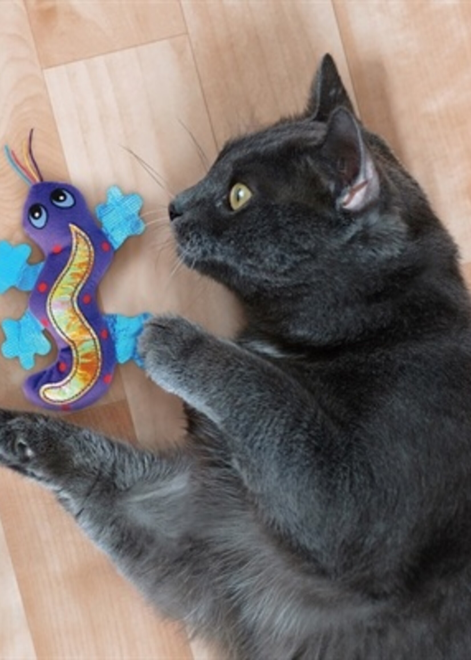 Kong Kong better buzz gecko met catnip