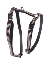 Martin sellier Martin sellier kattentuig kruis oranje / zwart