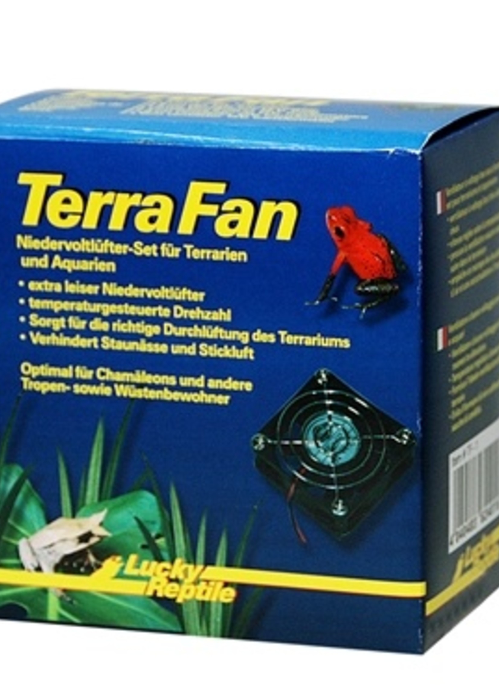 Lucky reptile Lucky reptile terra fan set