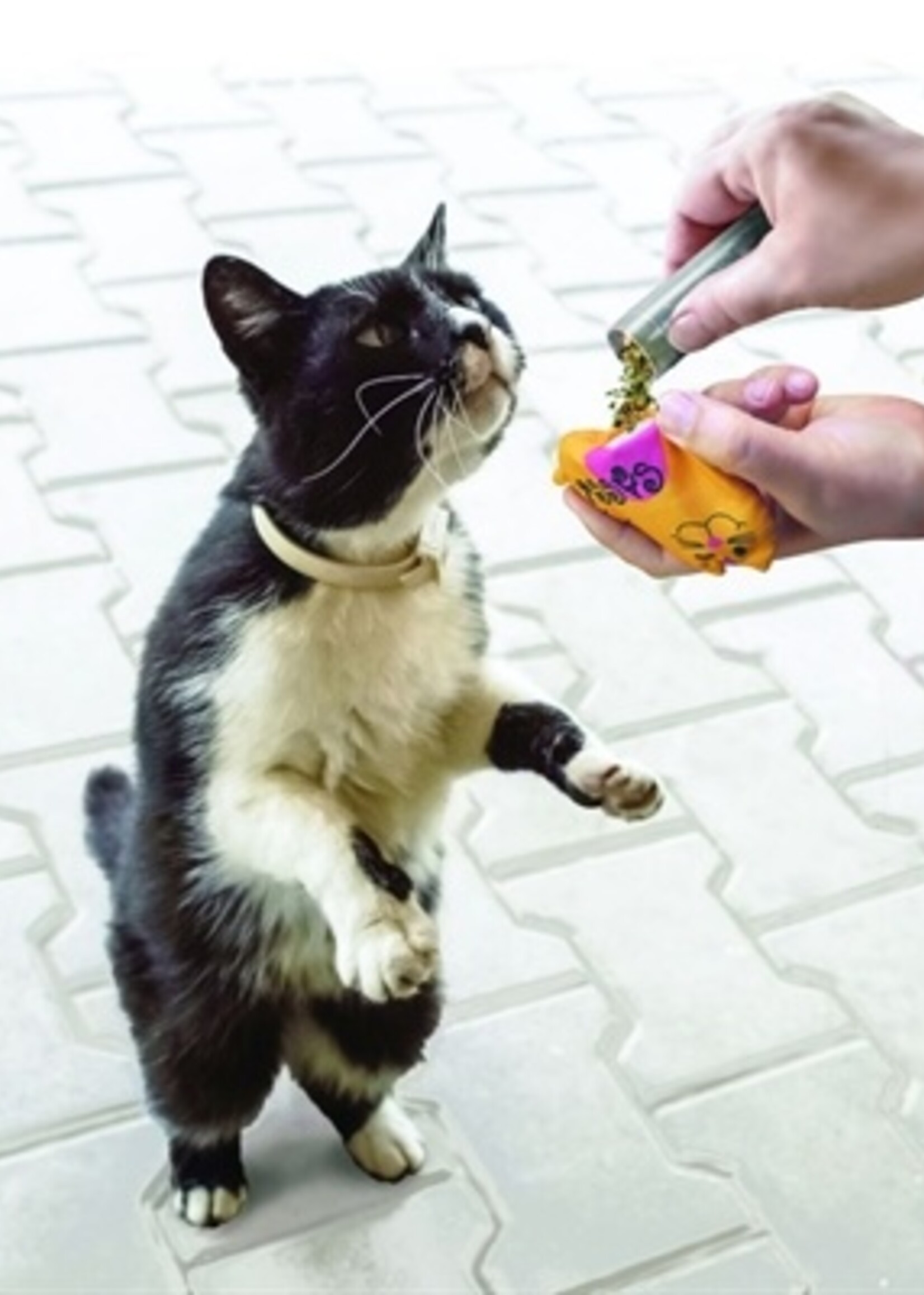 Kong Kong refillables catnip kattenkruid buisjes