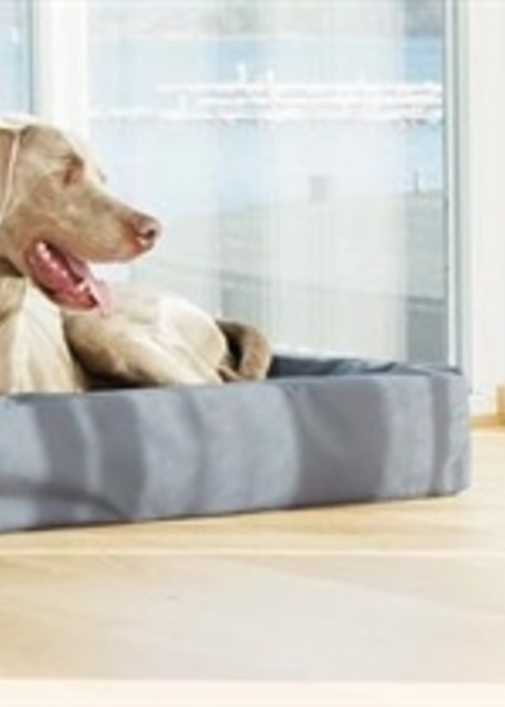 Bia bed Bia bed kunstleer hoes hondenmand grijs