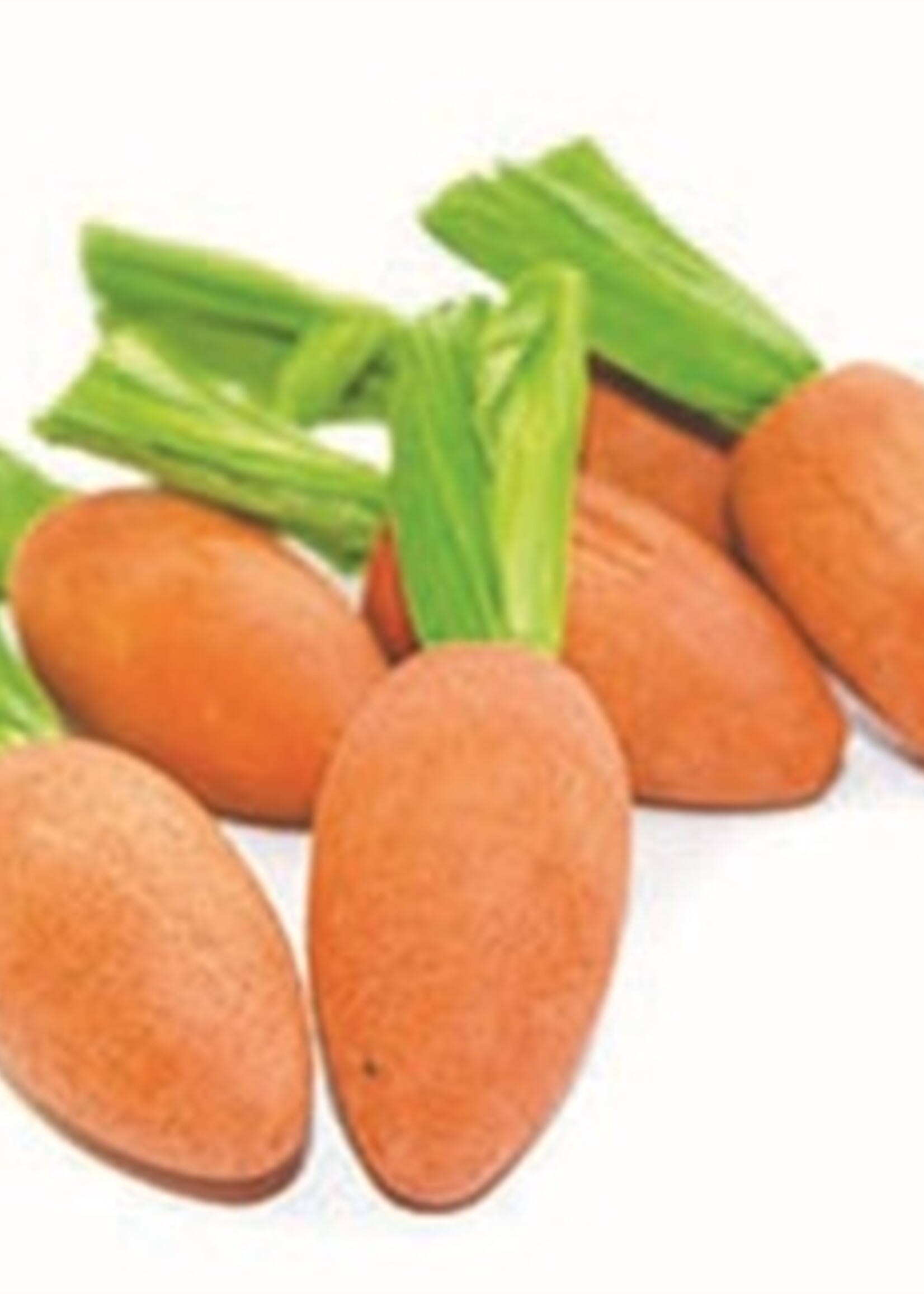 Happy pet Happy pet carrot nibblers knaaghout