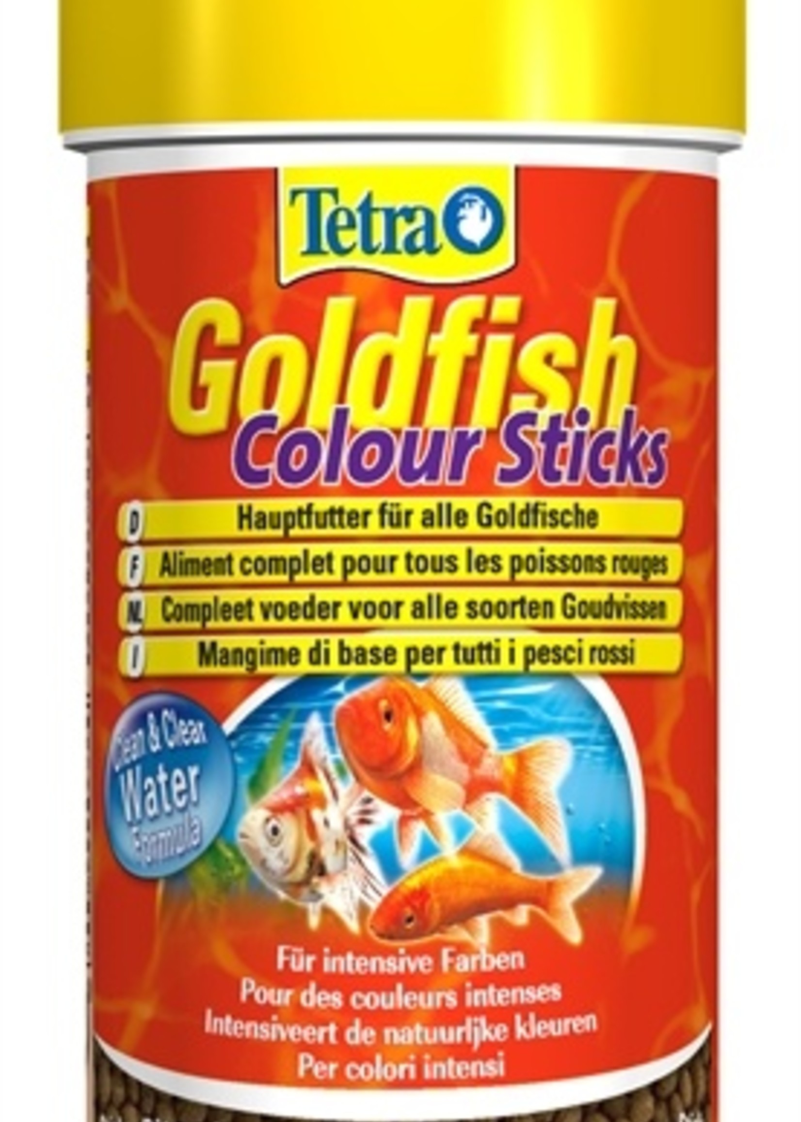 Tetra Tetra animin goudvis colour