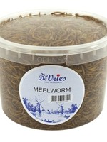 De vries De vries meelworm