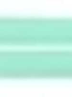 Trixie Trixie hondenriem premium verstelbaar tweelaags mintgroen