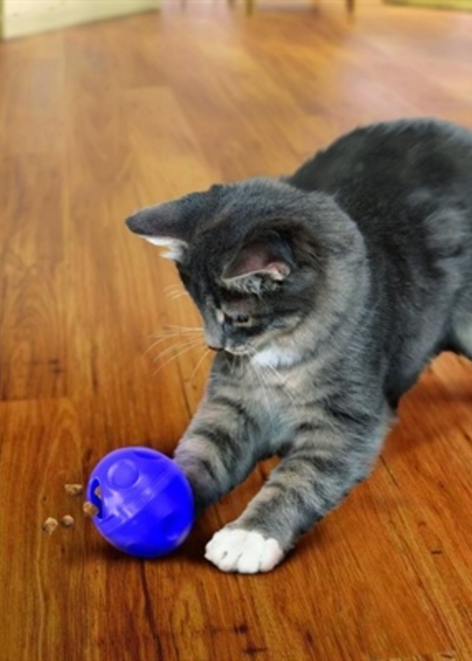 Kong Kong cat treat dispensing ball