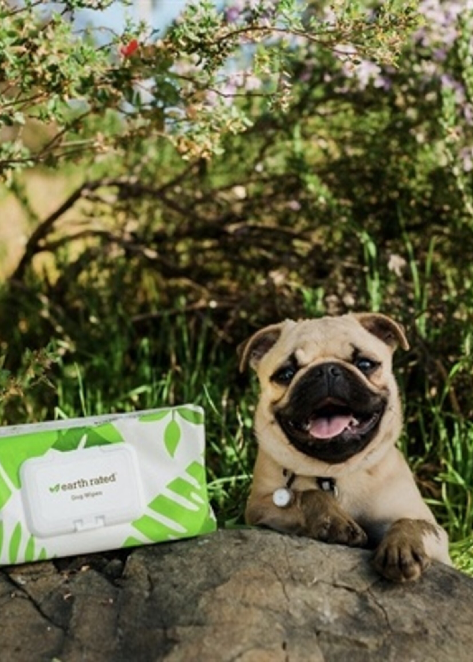 Earth rated Earth rated dog wipes geurloos composteerbaar