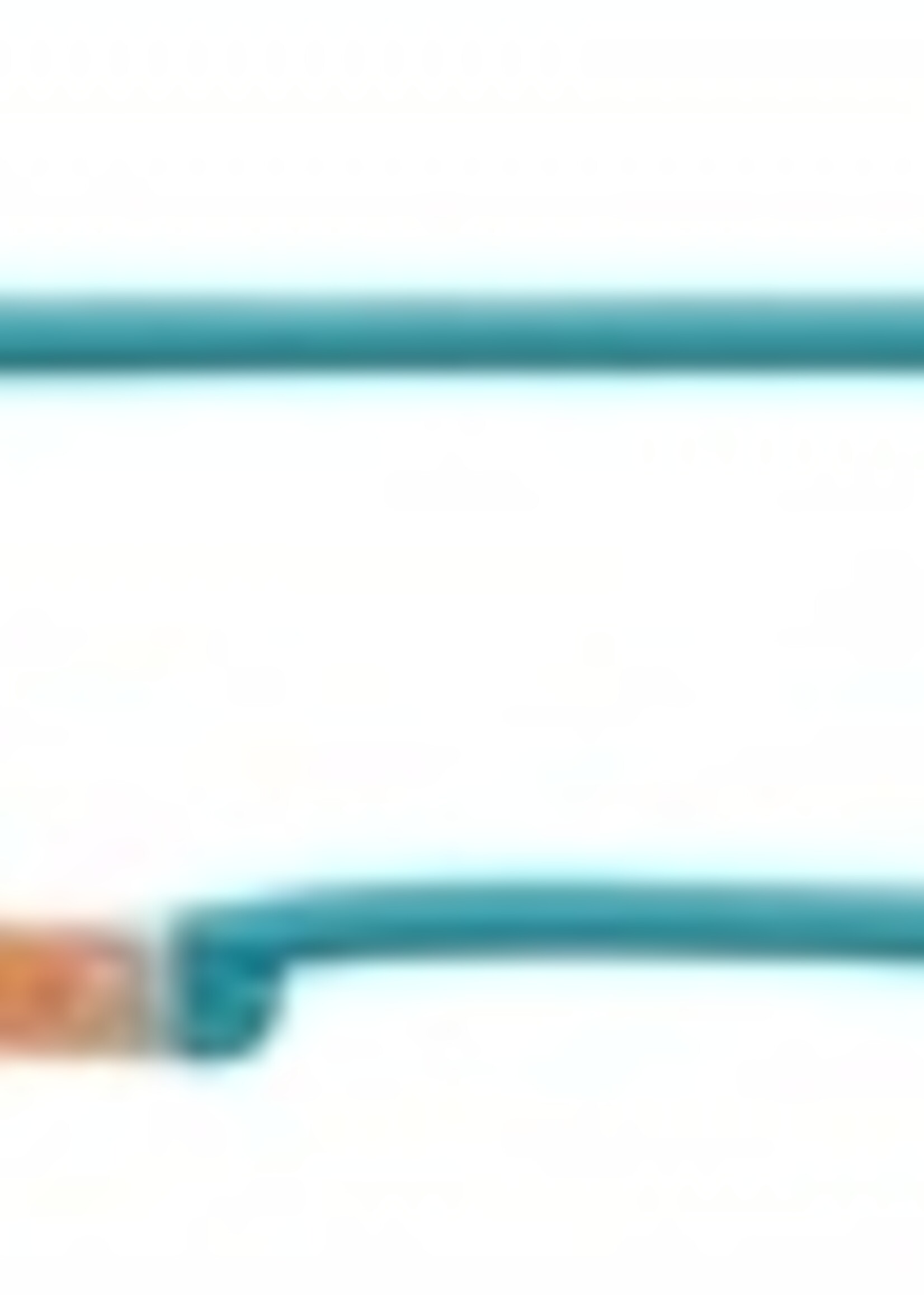 Trixie Trixie hondenriem be nordic retriever petrol / lichtgrijs