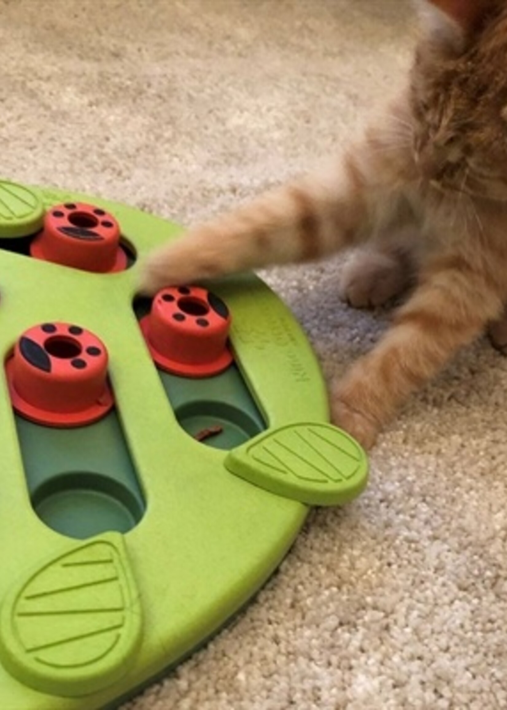 Nina ottosson Nina ottosson puzzle & play buggin out groen