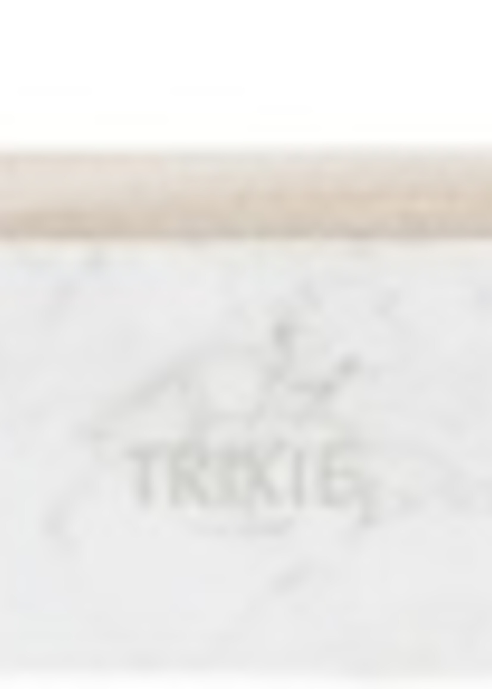 Trixie Trixie krabmat karton xxl marmer print lichtgrijs