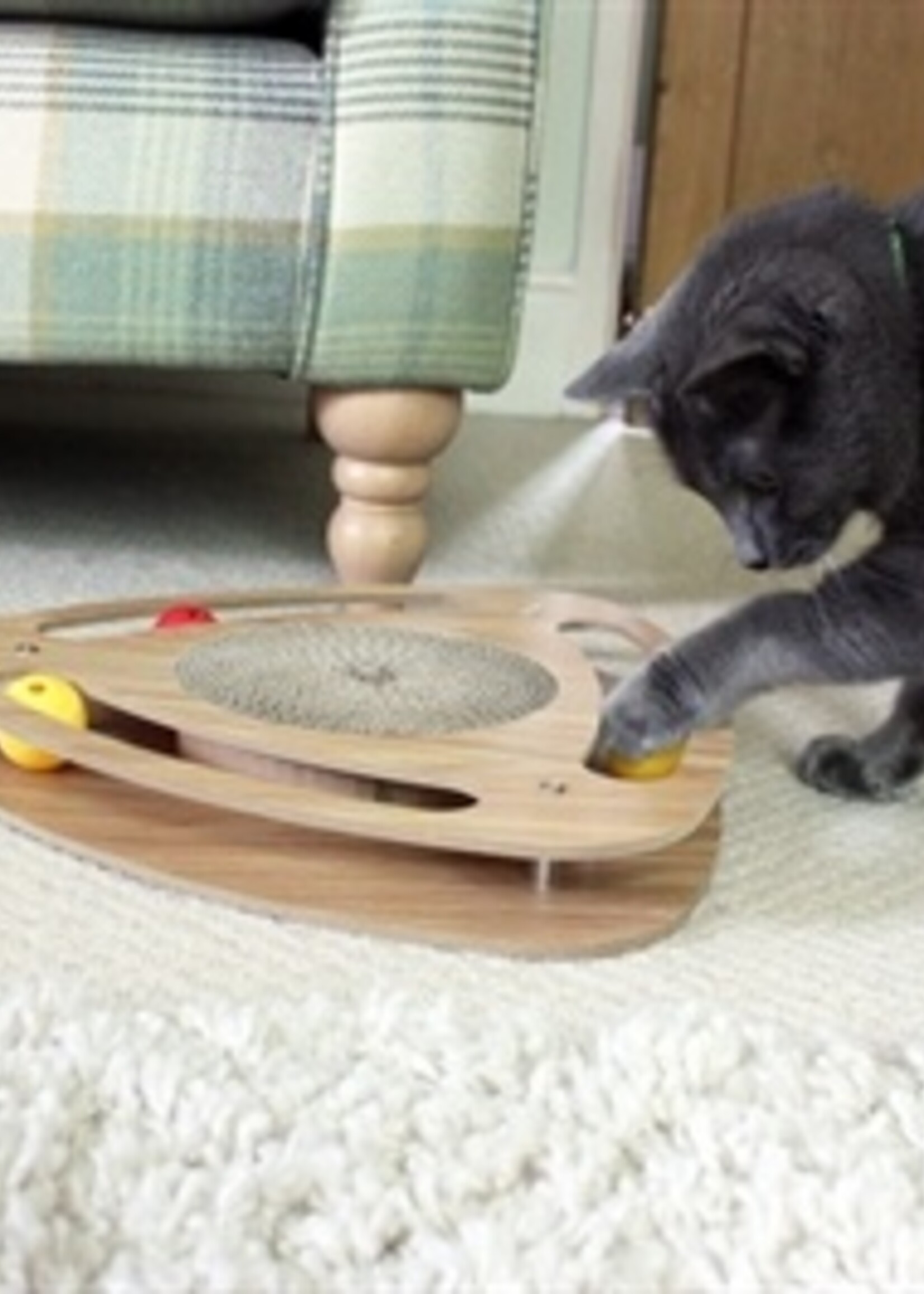 Happy pet Cat 'n' caboodle krabmat speelgoed geo