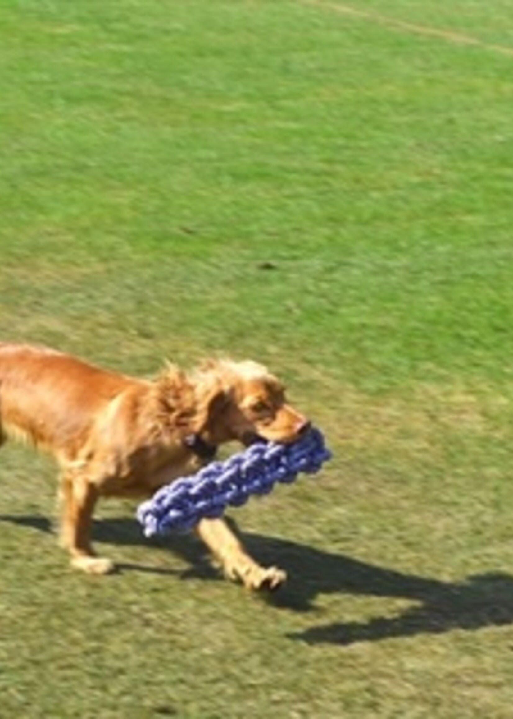 Happy pet Happy pet king size boomstam touw log xl