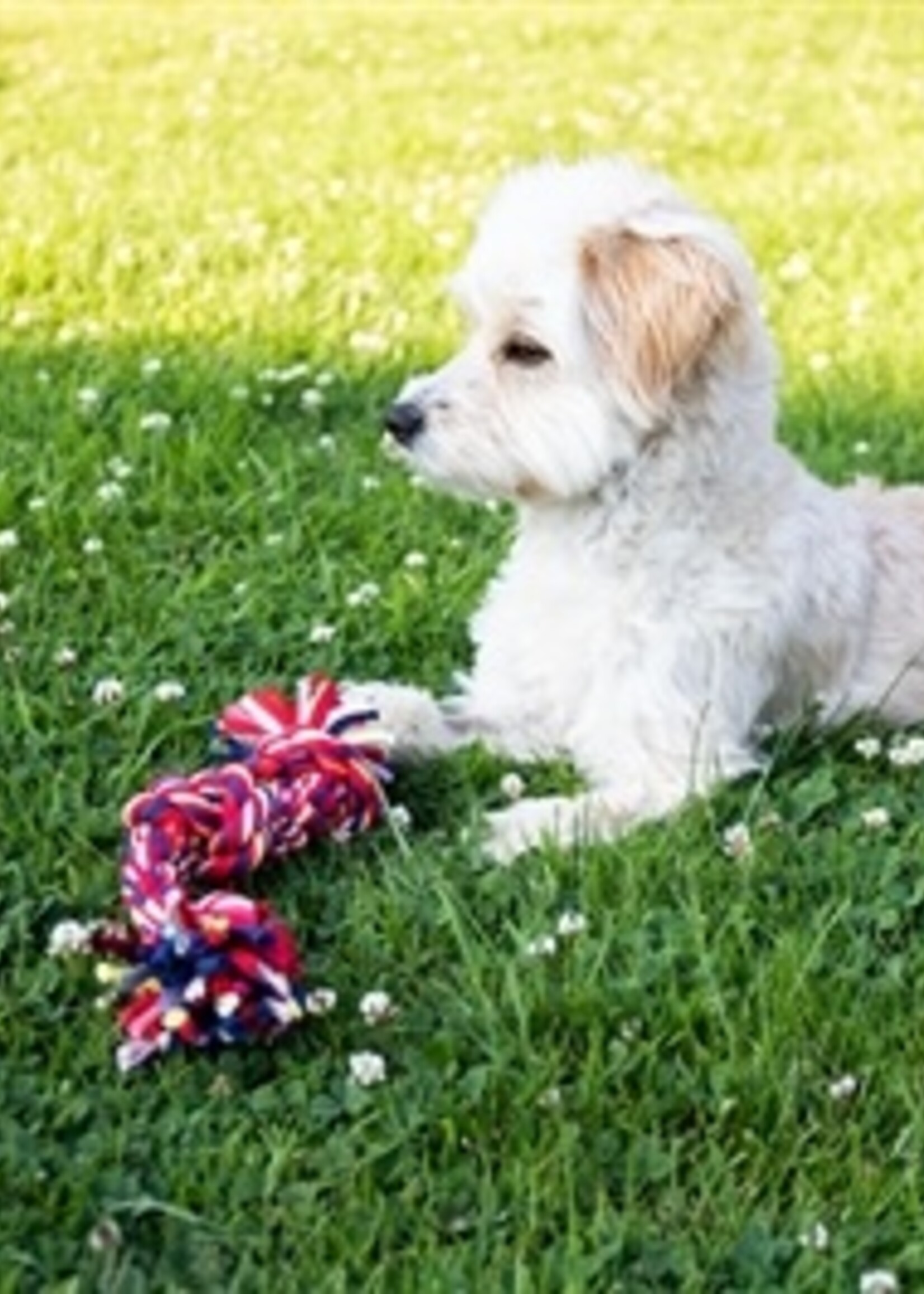 Happy pet Twist-tee 3 knoop tugger