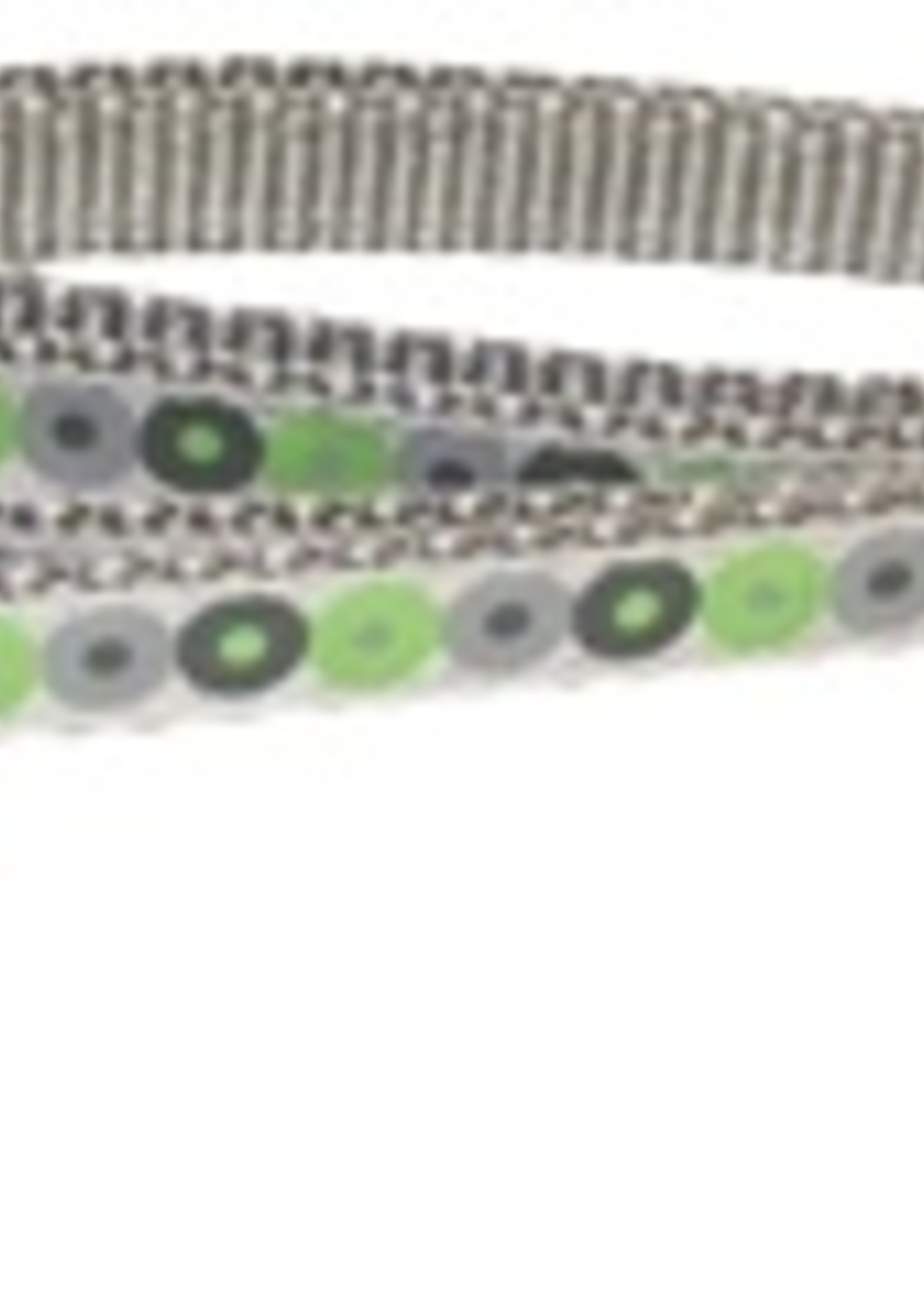 Little rascals Little rascals puppy halsband met lijn groen