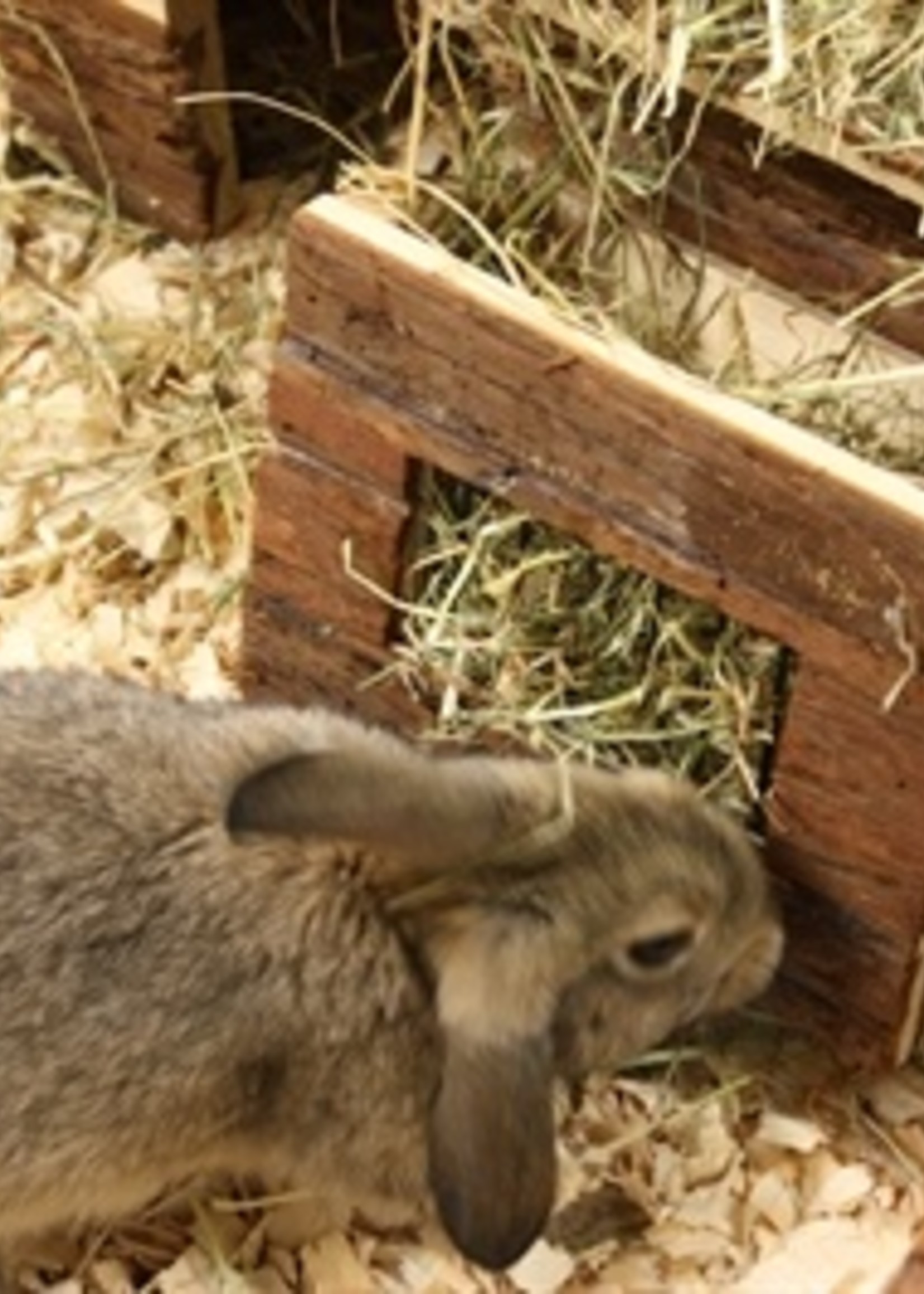 Happy pet Happy pet raw houten hooiruif