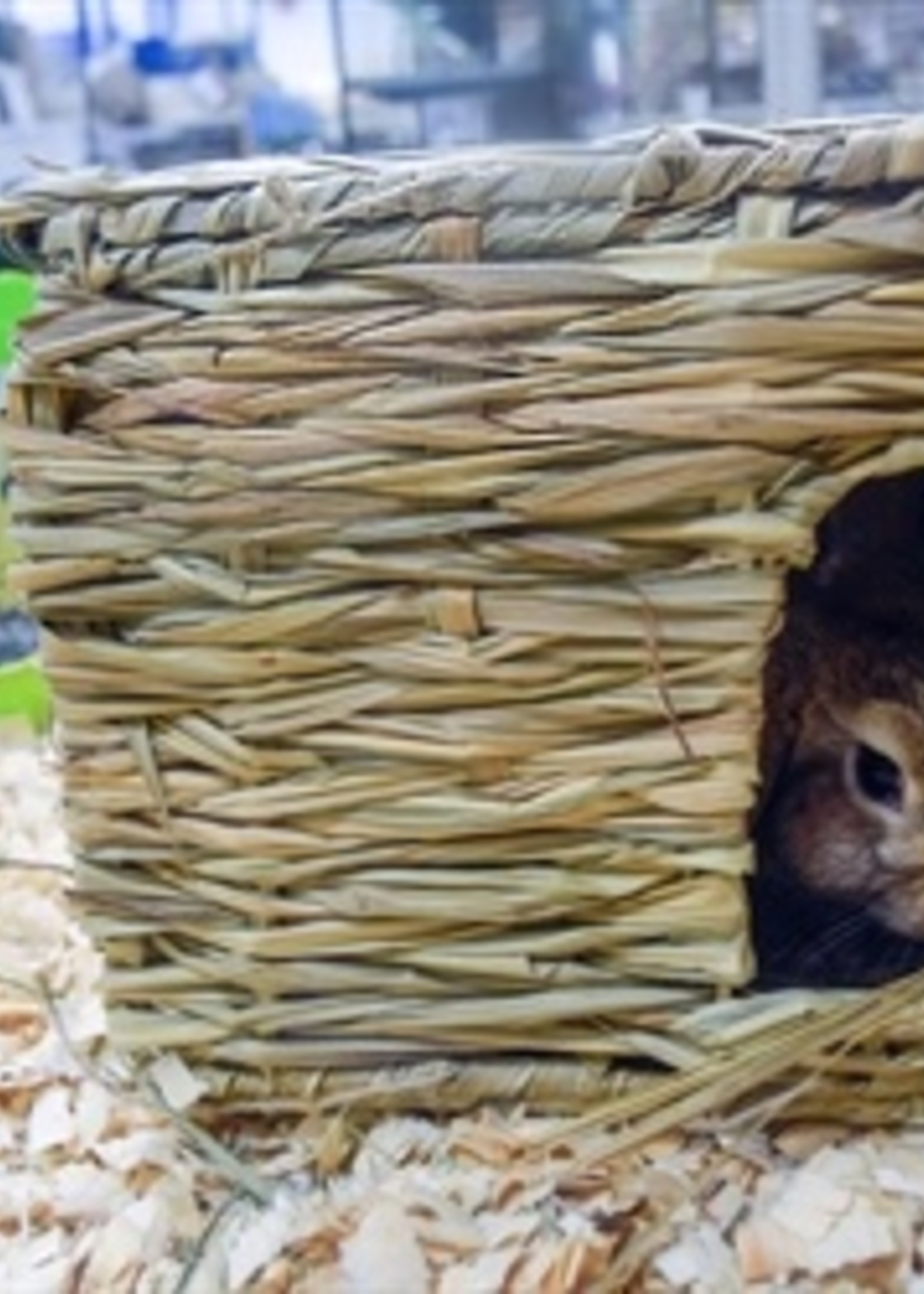 Happy pet Happy pet grassy hideaway verstopplek