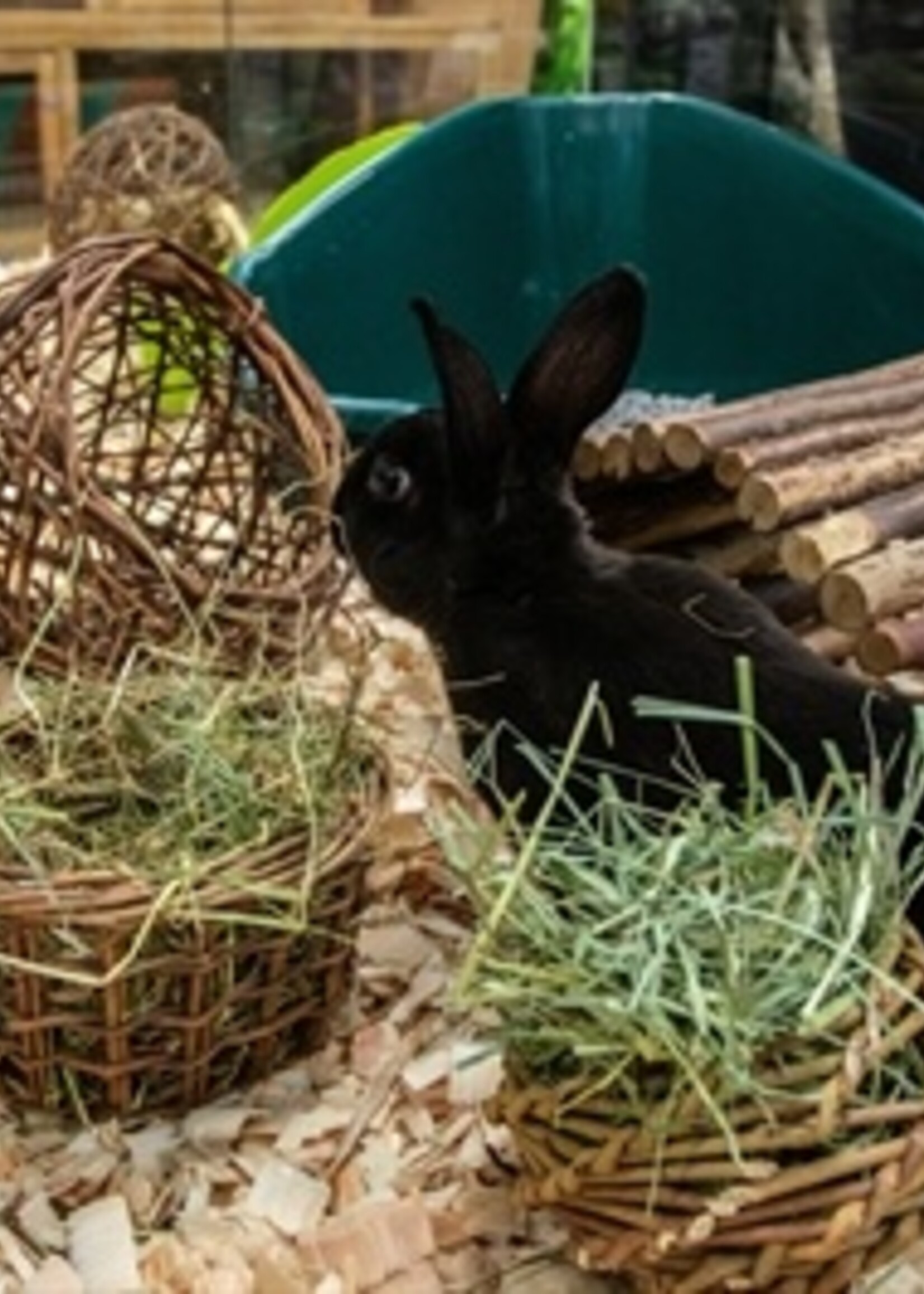 Happy pet Happy pet wilgen hooirek