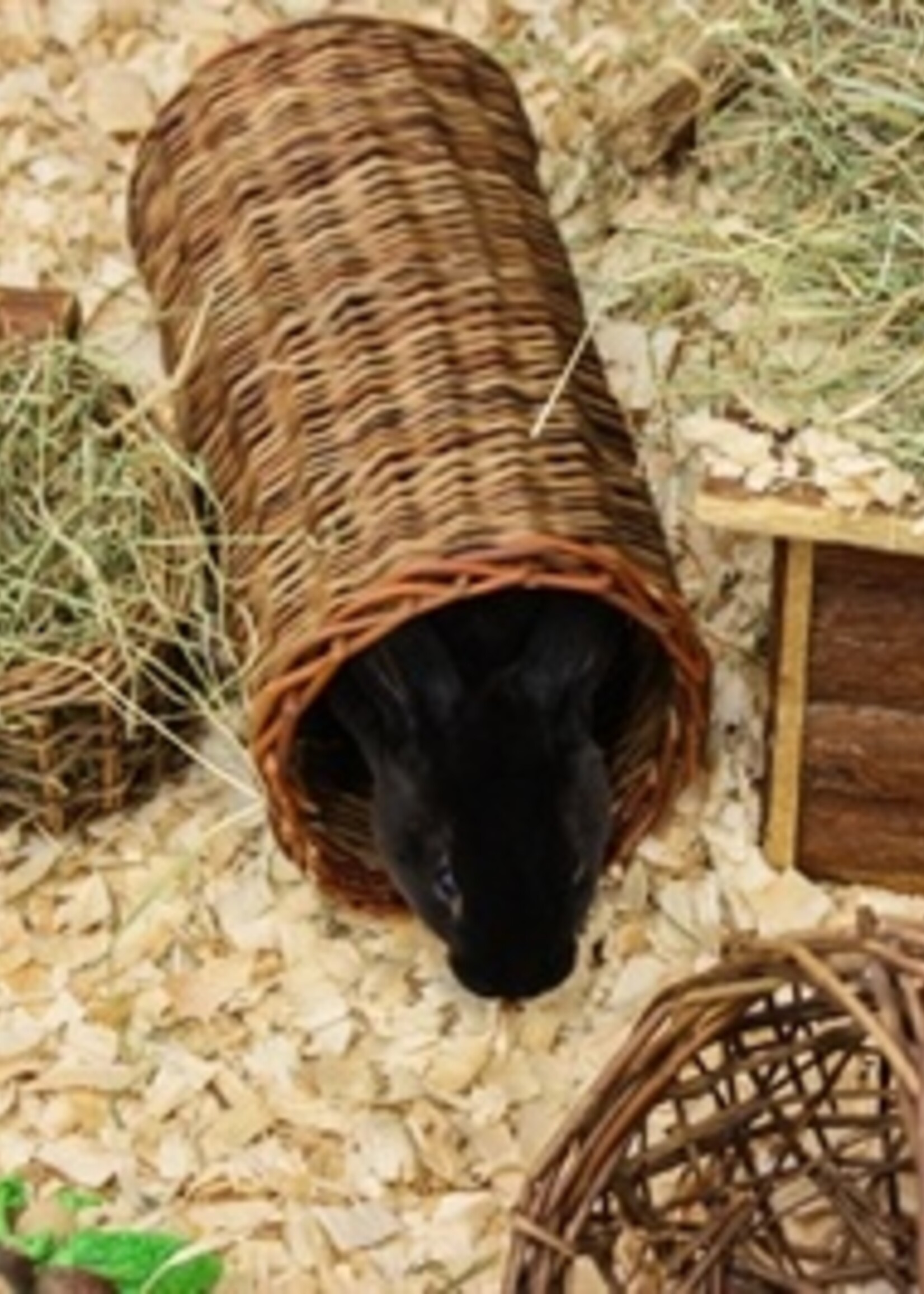 Happy pet Happy pet wilgen hooirek
