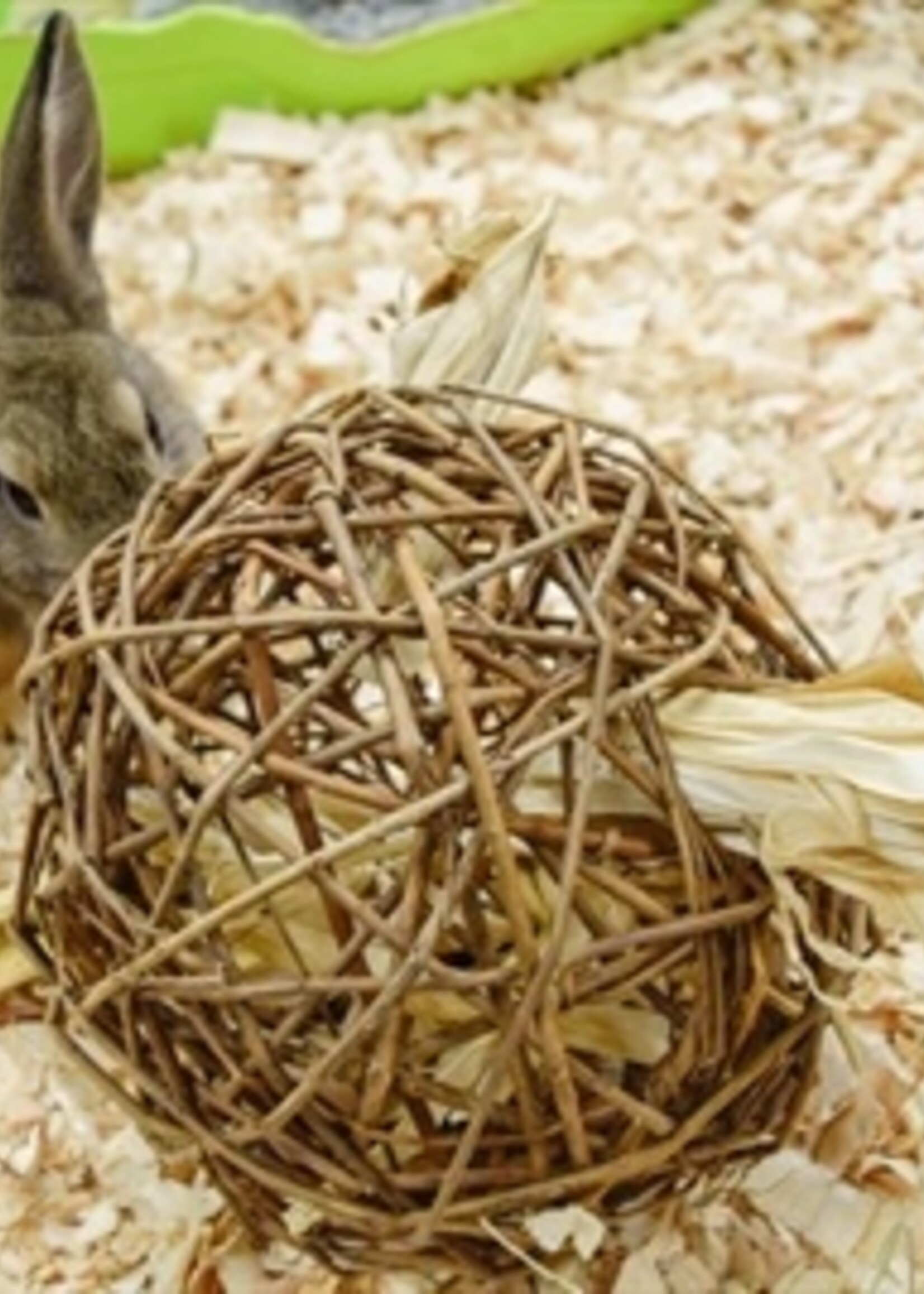 Happy pet Happy pet speelbal wilg nature first