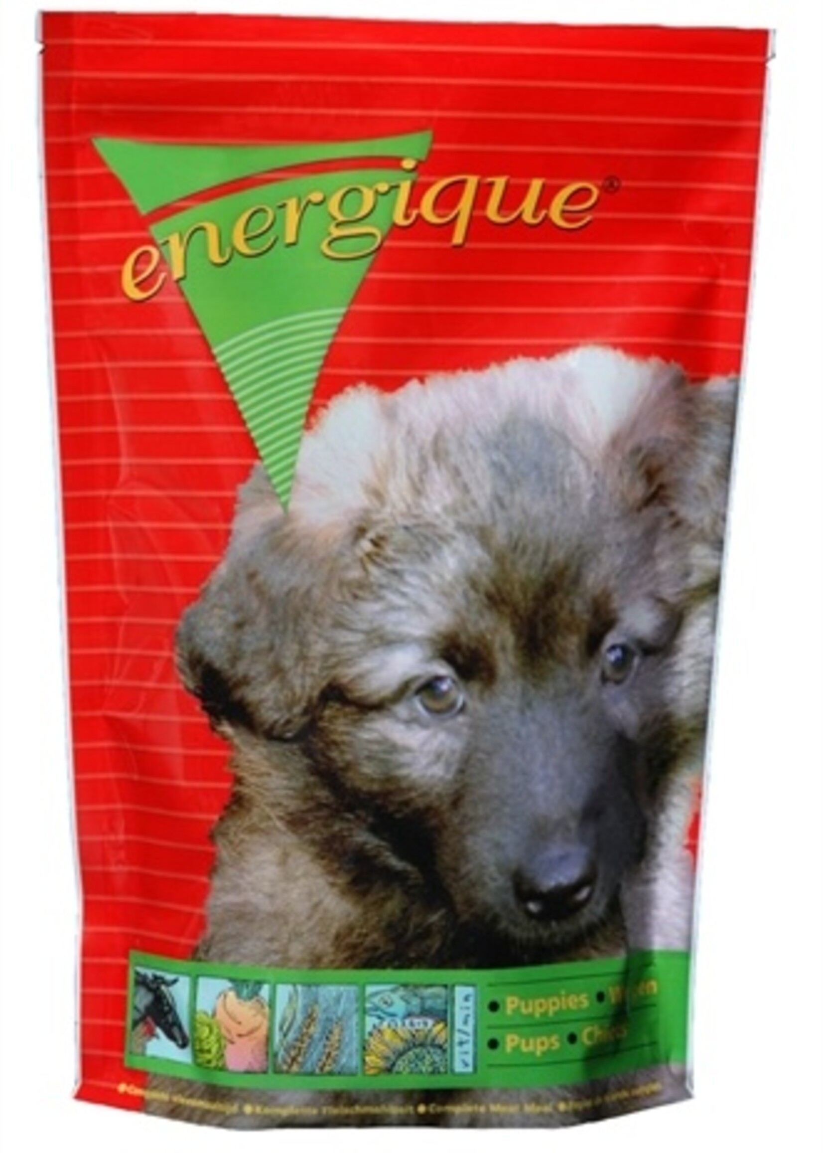 Energique 8x energique nr 2 puppy