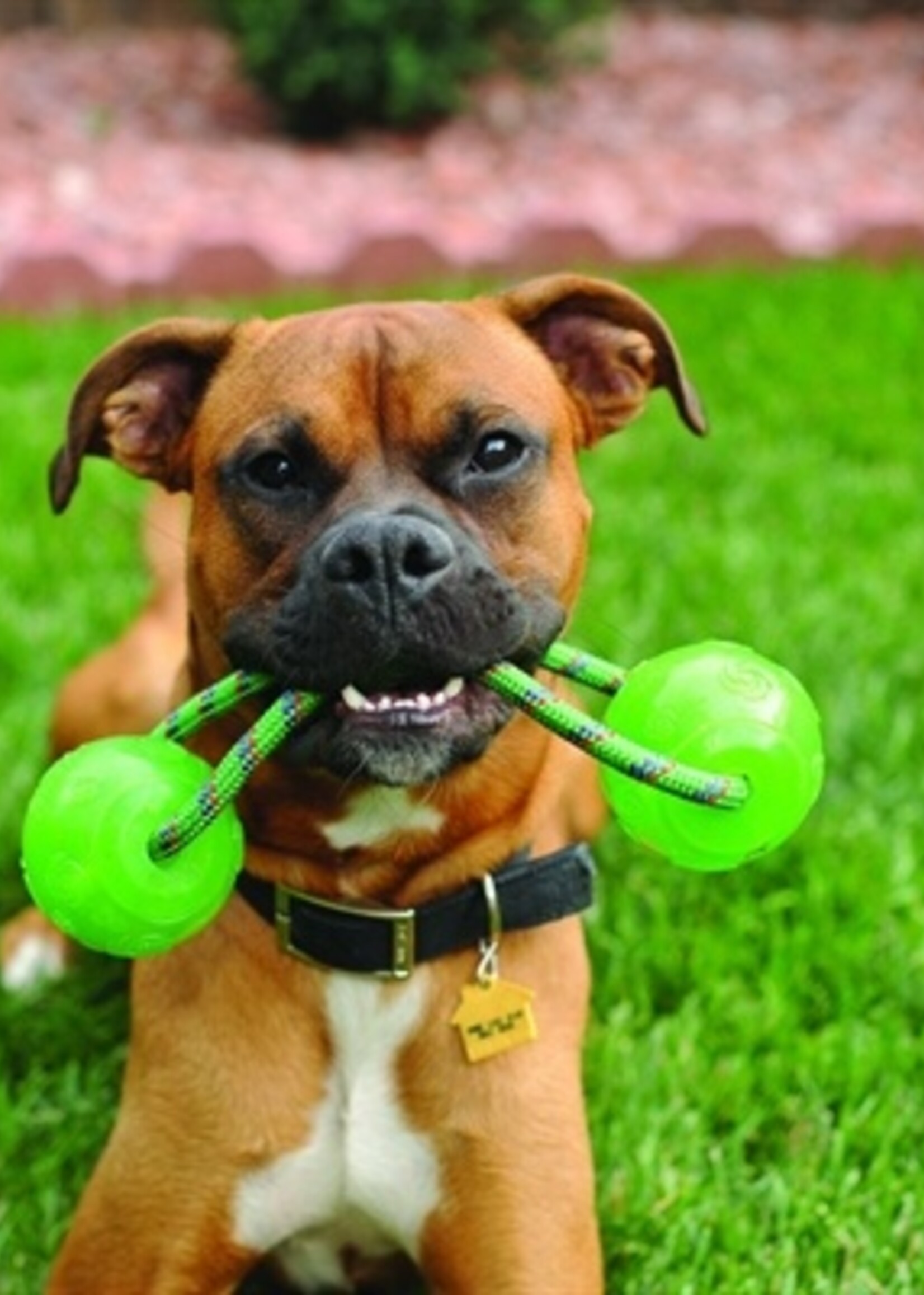 Kong Kong squeezz ball met handvat