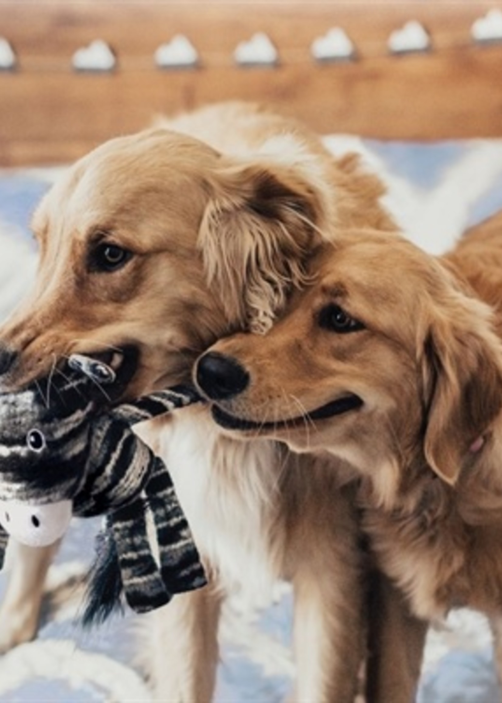 Kong Kong yarnimals zebra