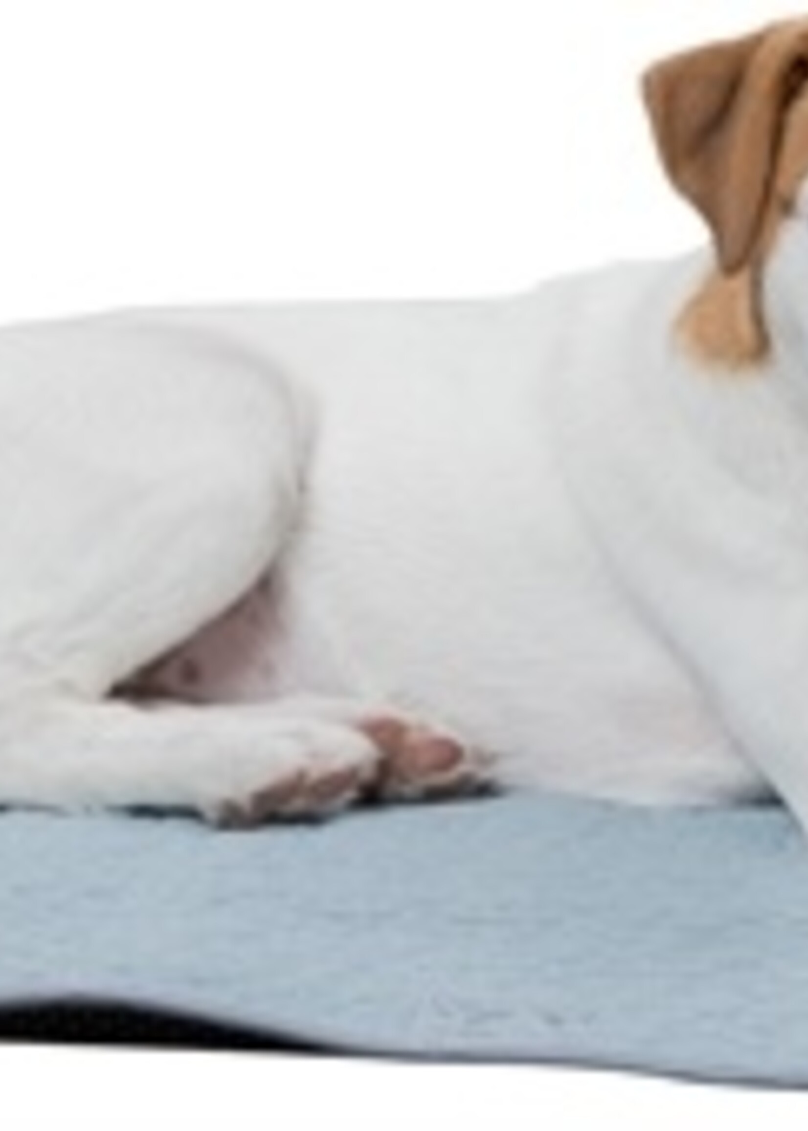 Trixie Trixie junior ligmat fresh mintgroen