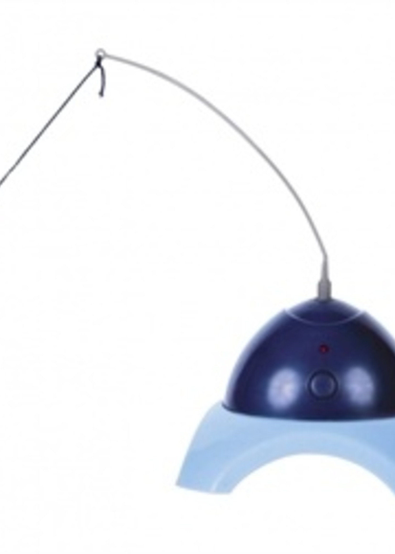 Trixie Trixie catch me