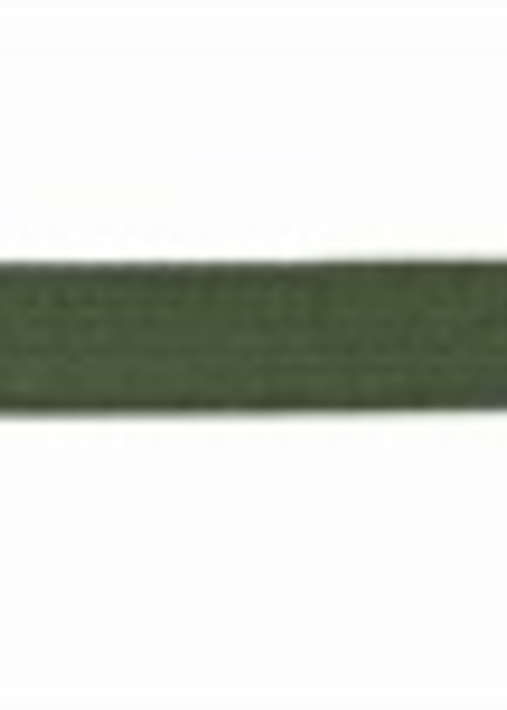 Trixie Trixie hondenriem sleeplijn singelband groen