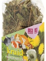 Esve Esve kruid paardenbloem