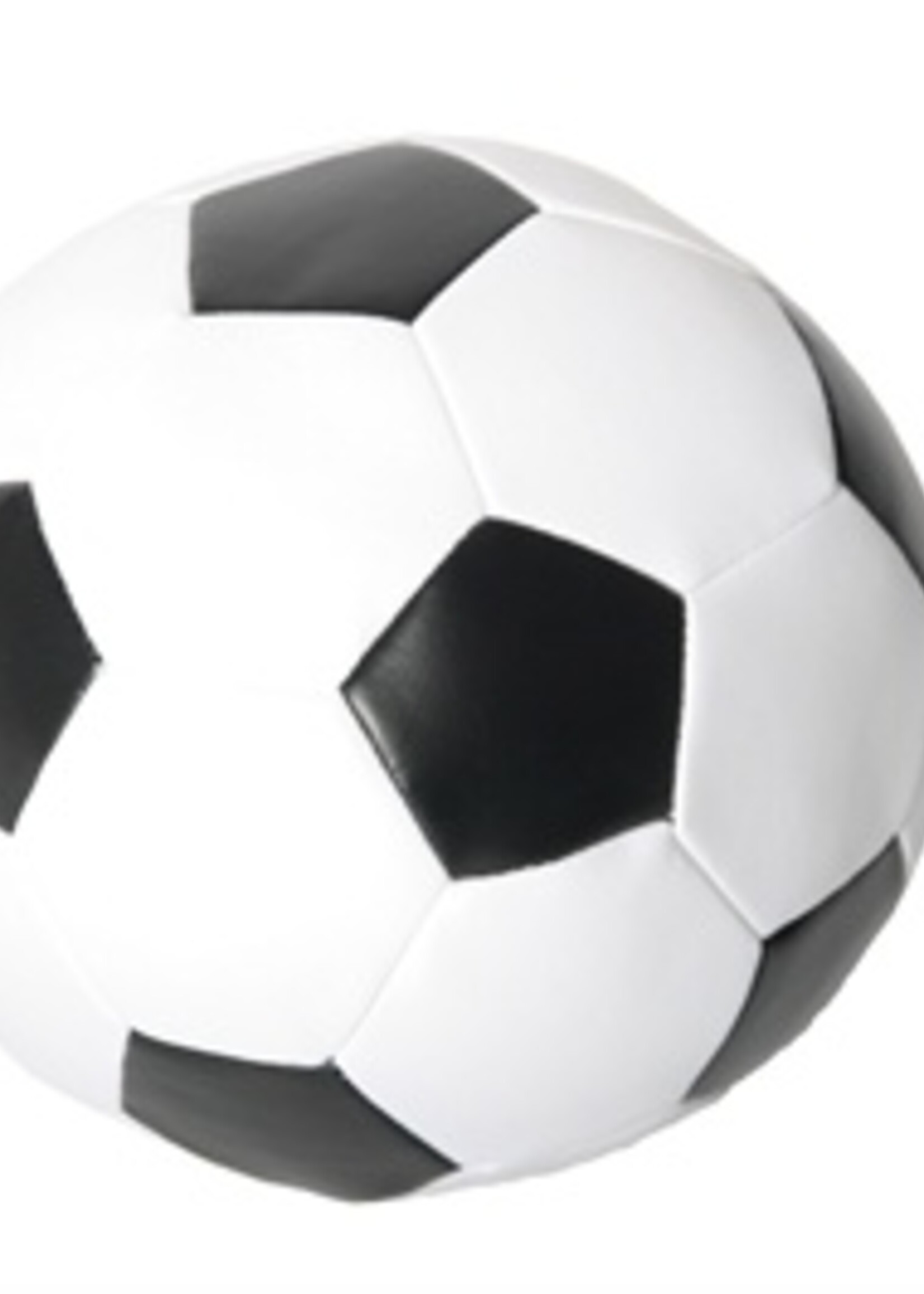 Martin sellier Martin sellier zachte voetbal