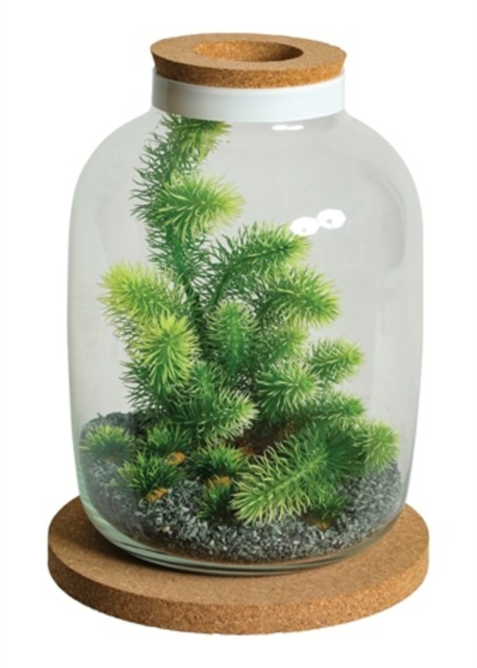 Zolux Zolux life jug vaas witte rand met kurk