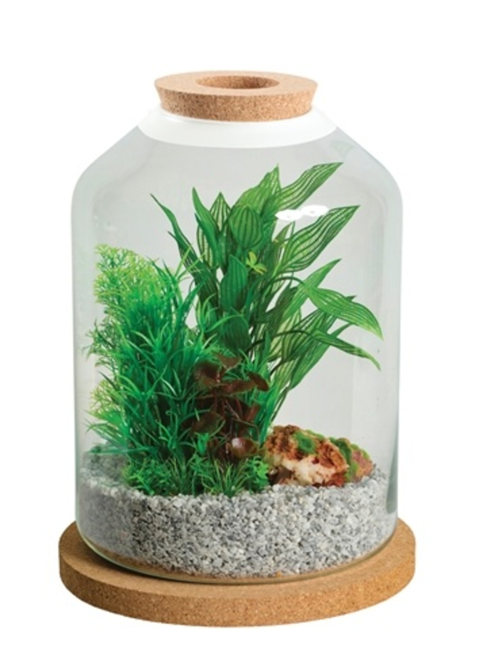 Zolux Zolux life bell stolp glas witte rand met kurk