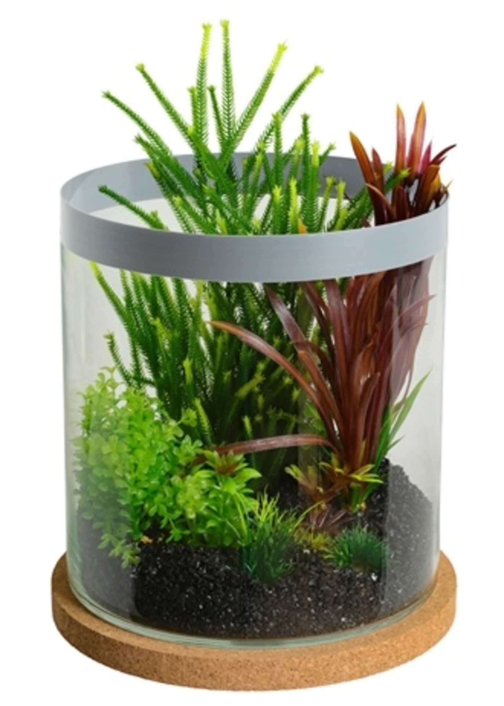 Zolux Zolux life cylinder met grijze rand