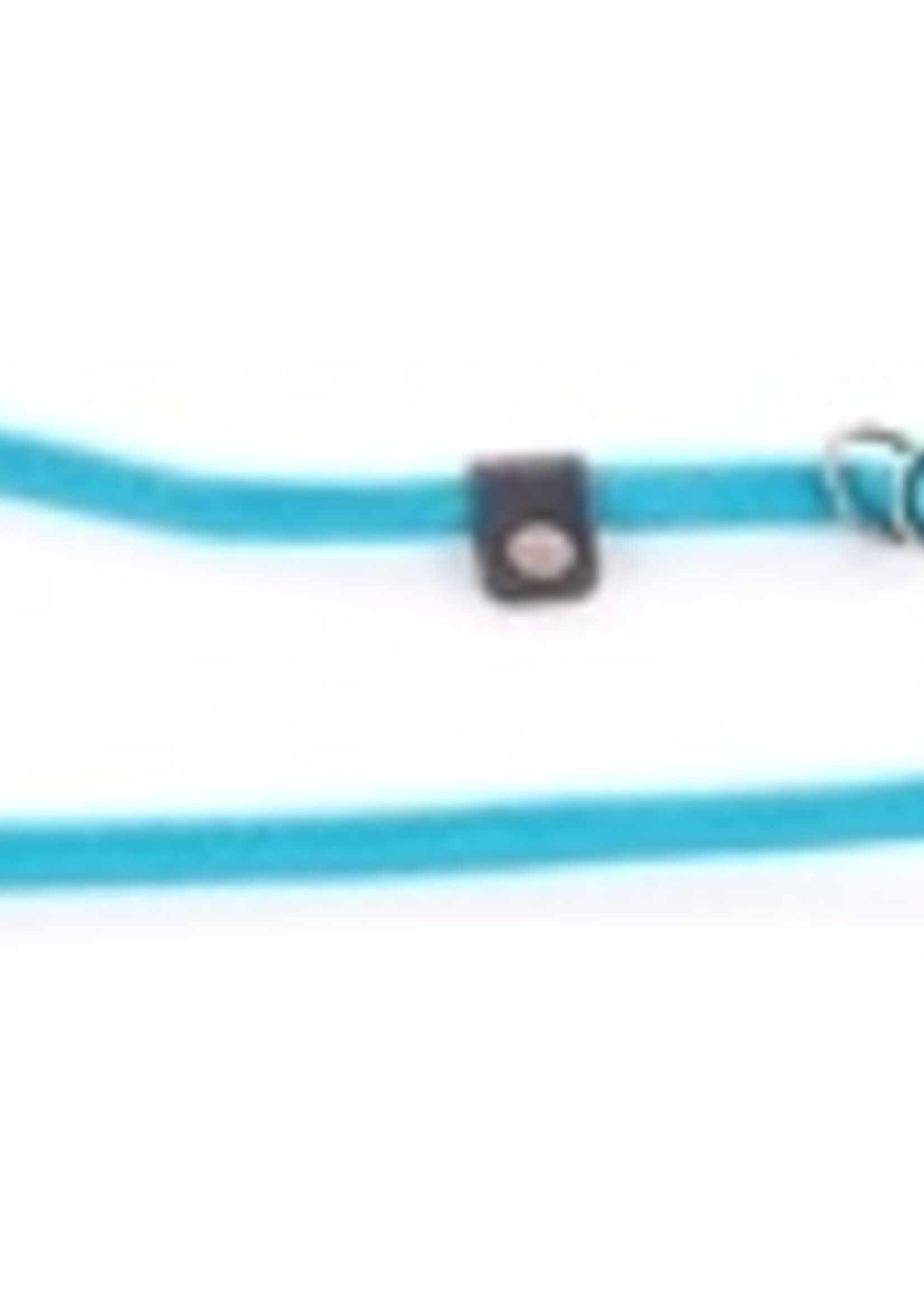 Martin sellier Retrieverlijn nylon rond turquoise