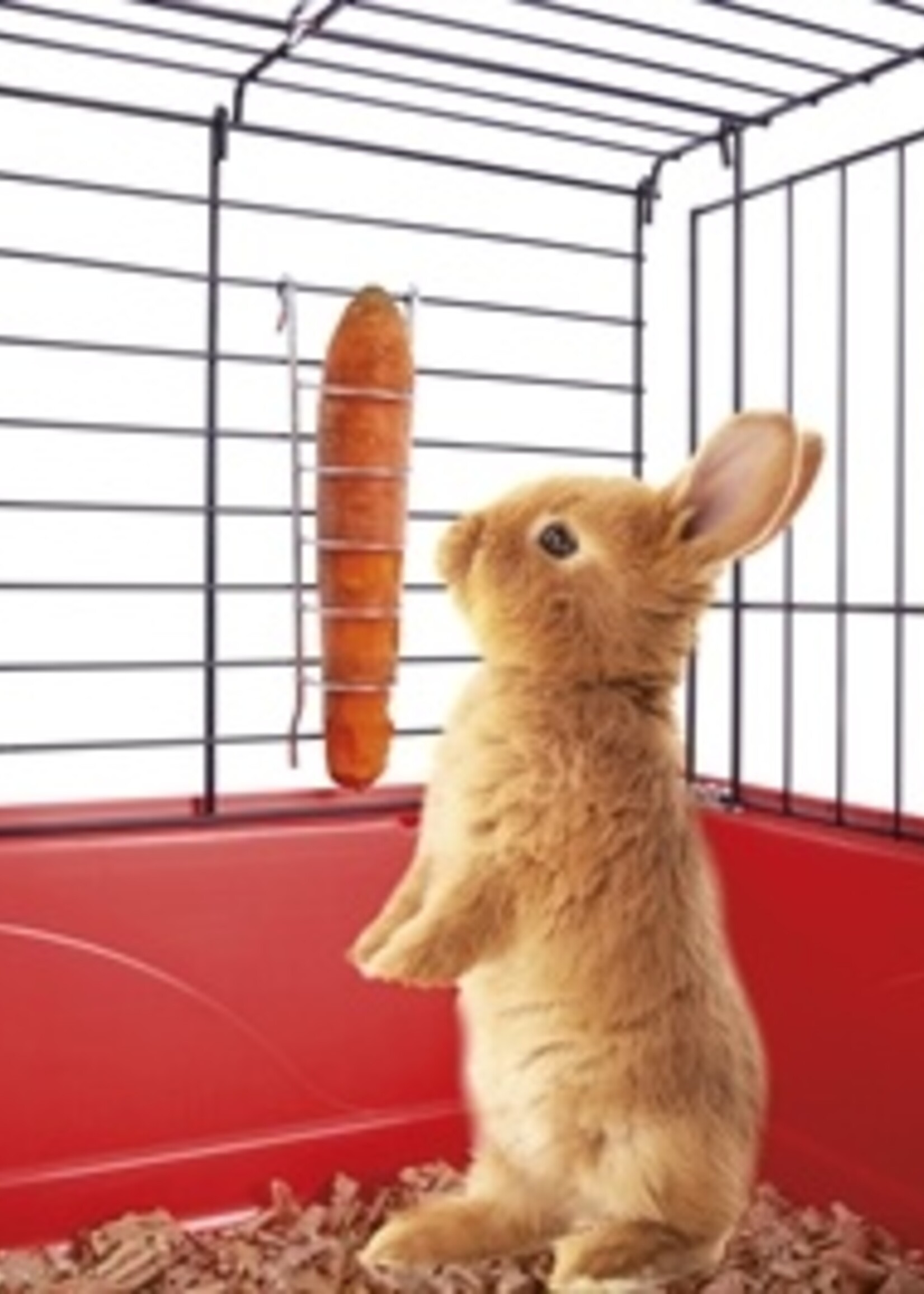 Imac Imac wortelhouder