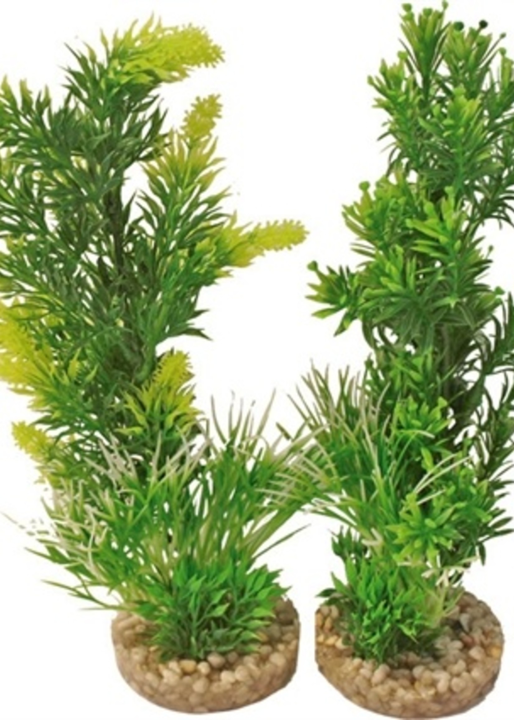 Merkloos Aquarium plant 349701