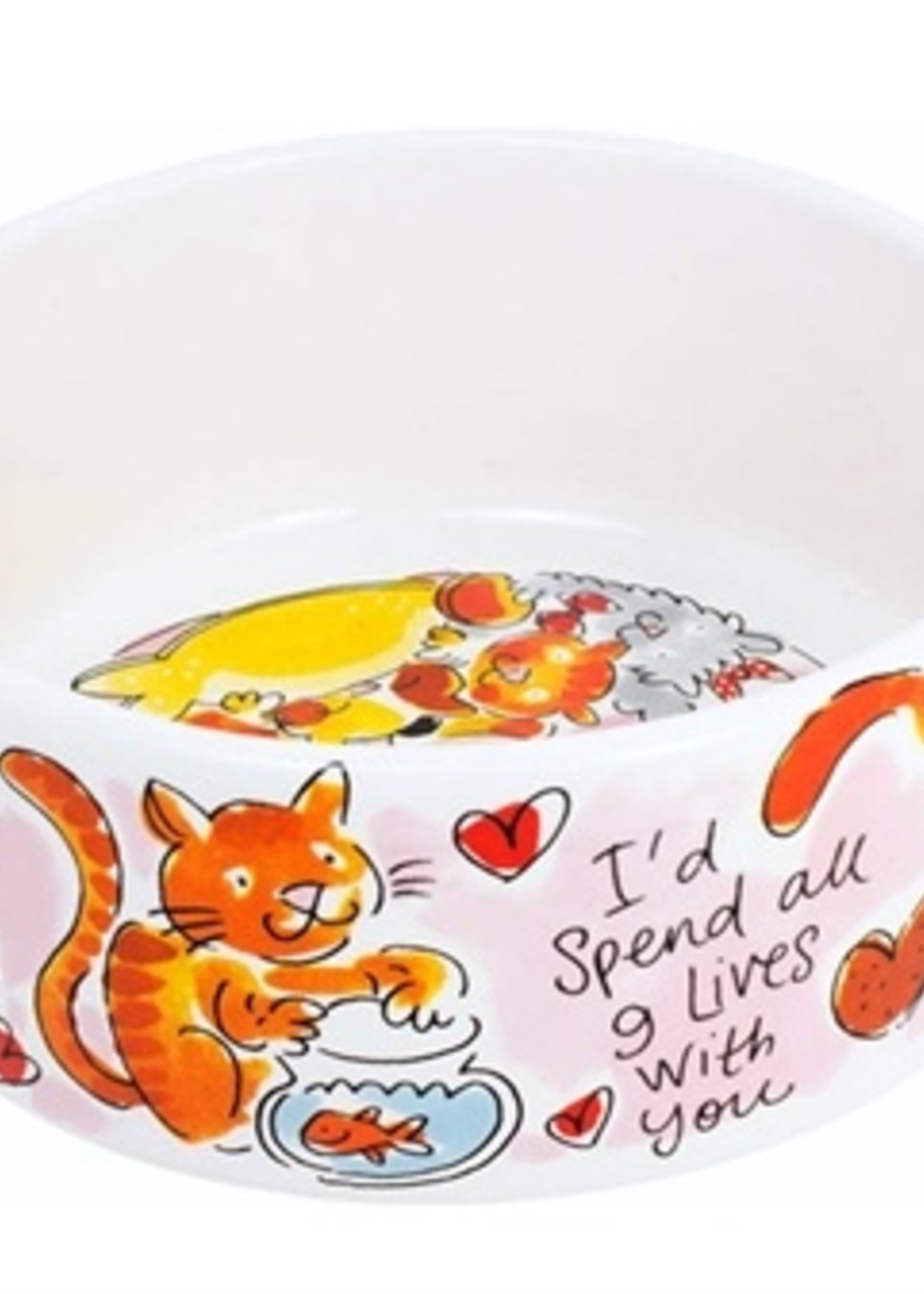 Blond amsterdam Blond voerbak kat