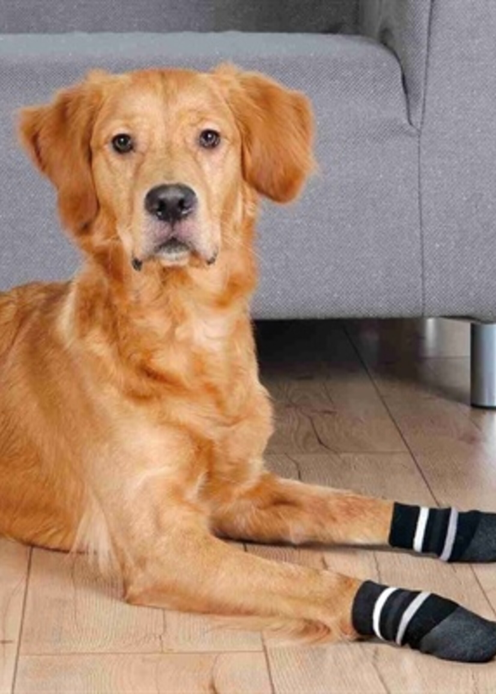 Trixie Trixie hondensokken anti-slip met rubberlaag rondom zwart