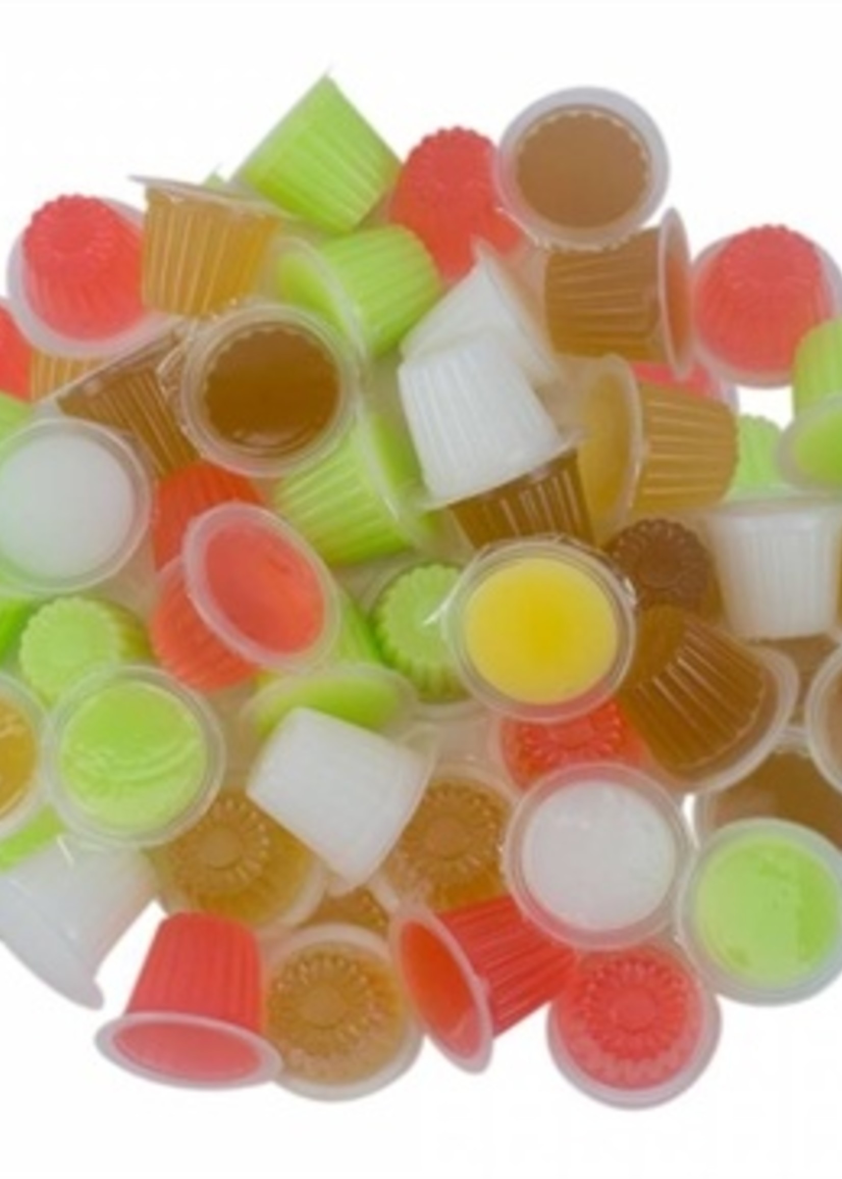 Back zoo nature Back zoo nature fruitkuipje mix reptiel