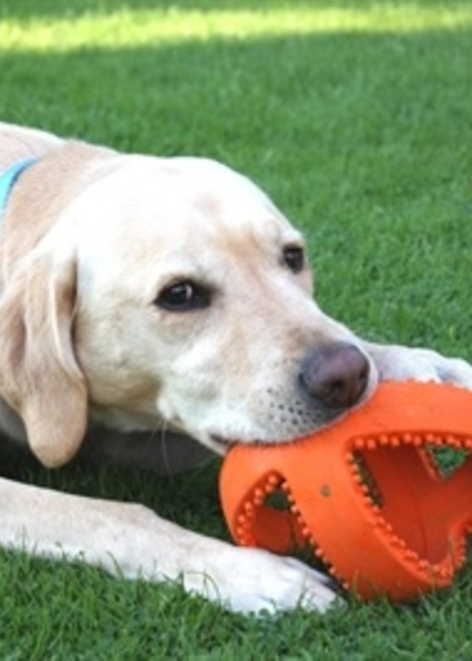Happy pet Happy pet grubber interactieve voetbal