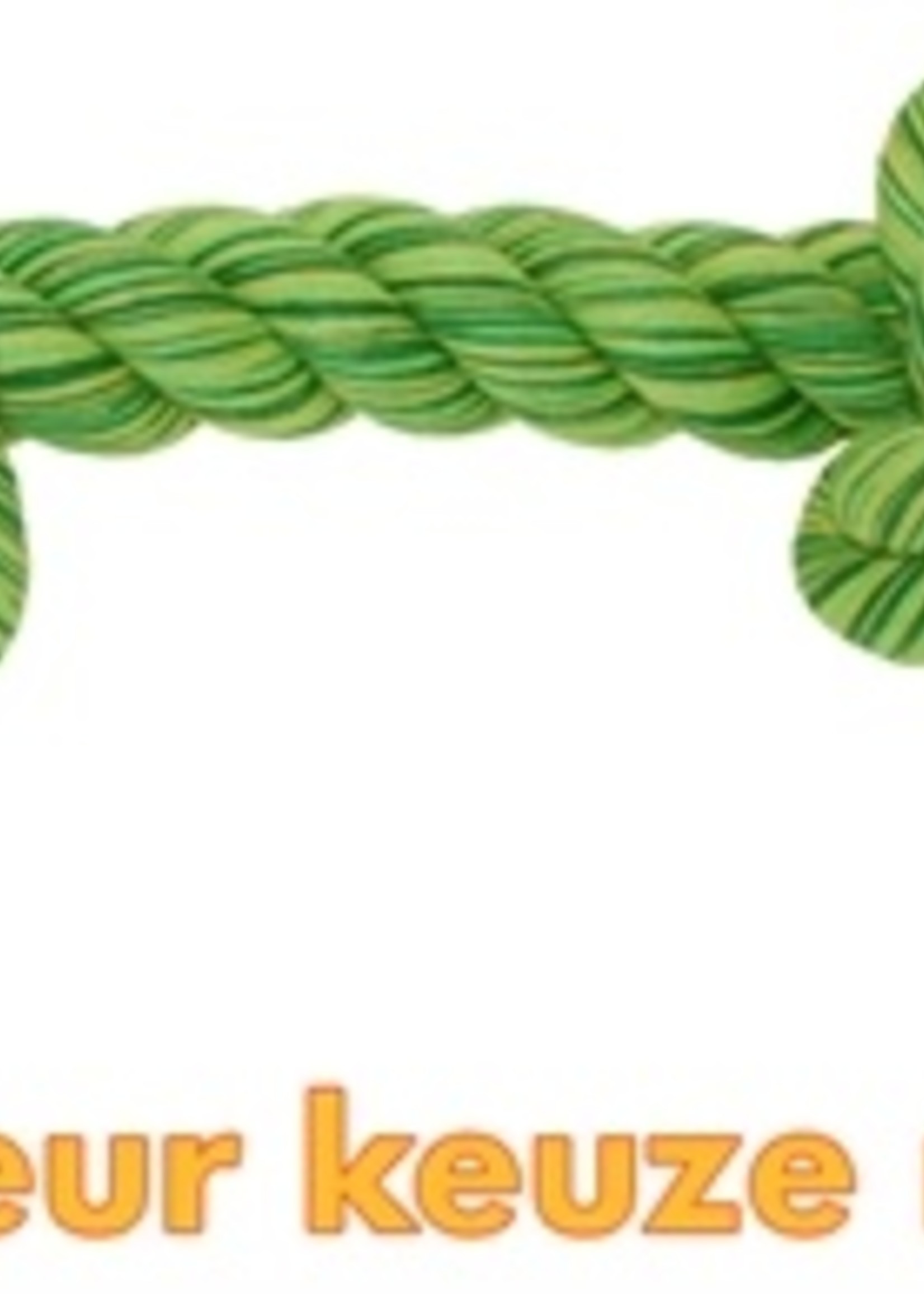 Happy pet Happy pet flossin fun 2 knoop