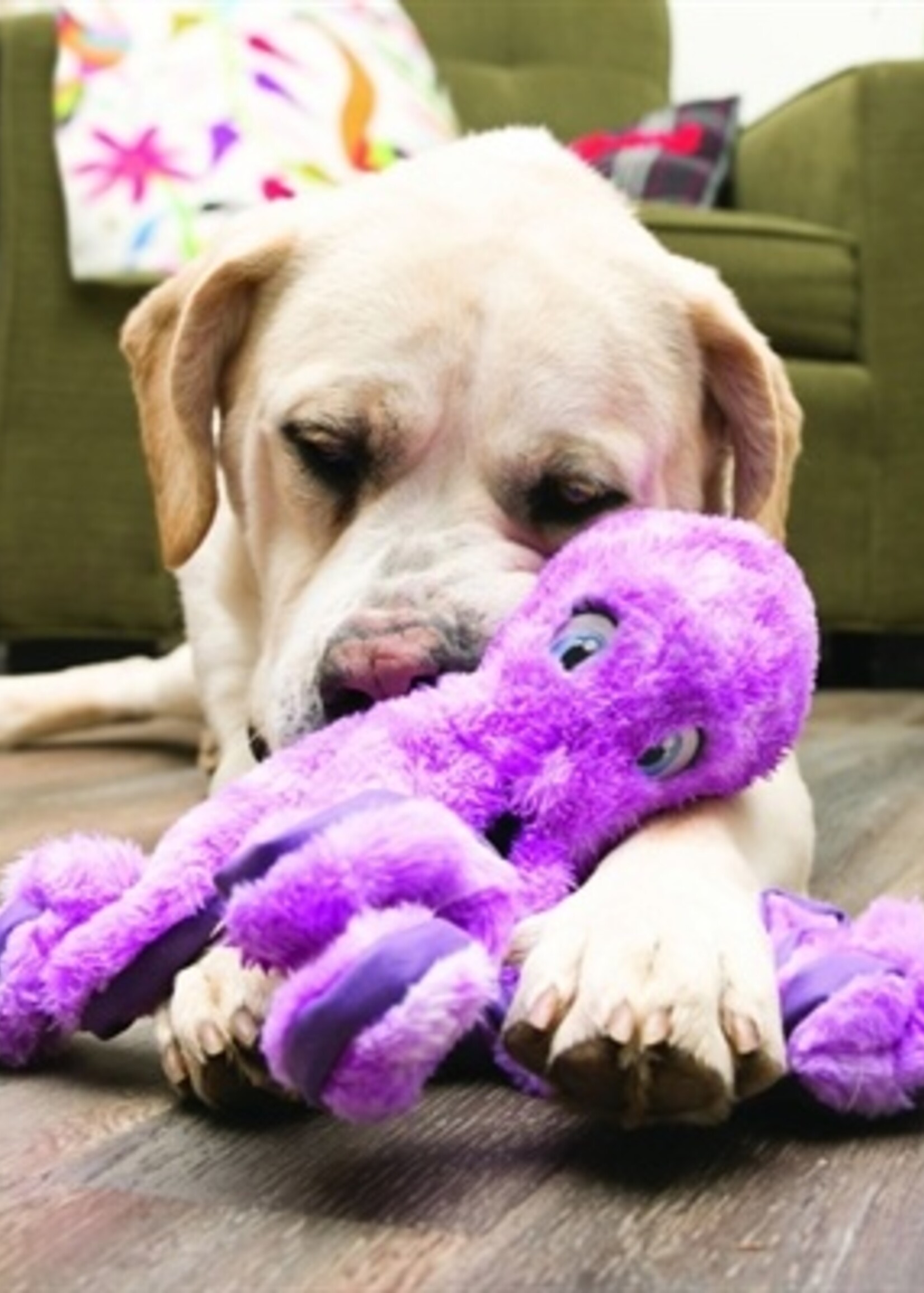 Kong Kong softseas octopus