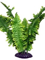 Komodo Komodo boston varen