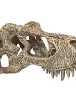 Komodo Komodo t-rex schedel