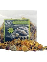 Komodo Komodo landschildpad bloemenmix