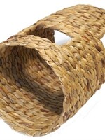 Rosewood Hyacinth tunnel